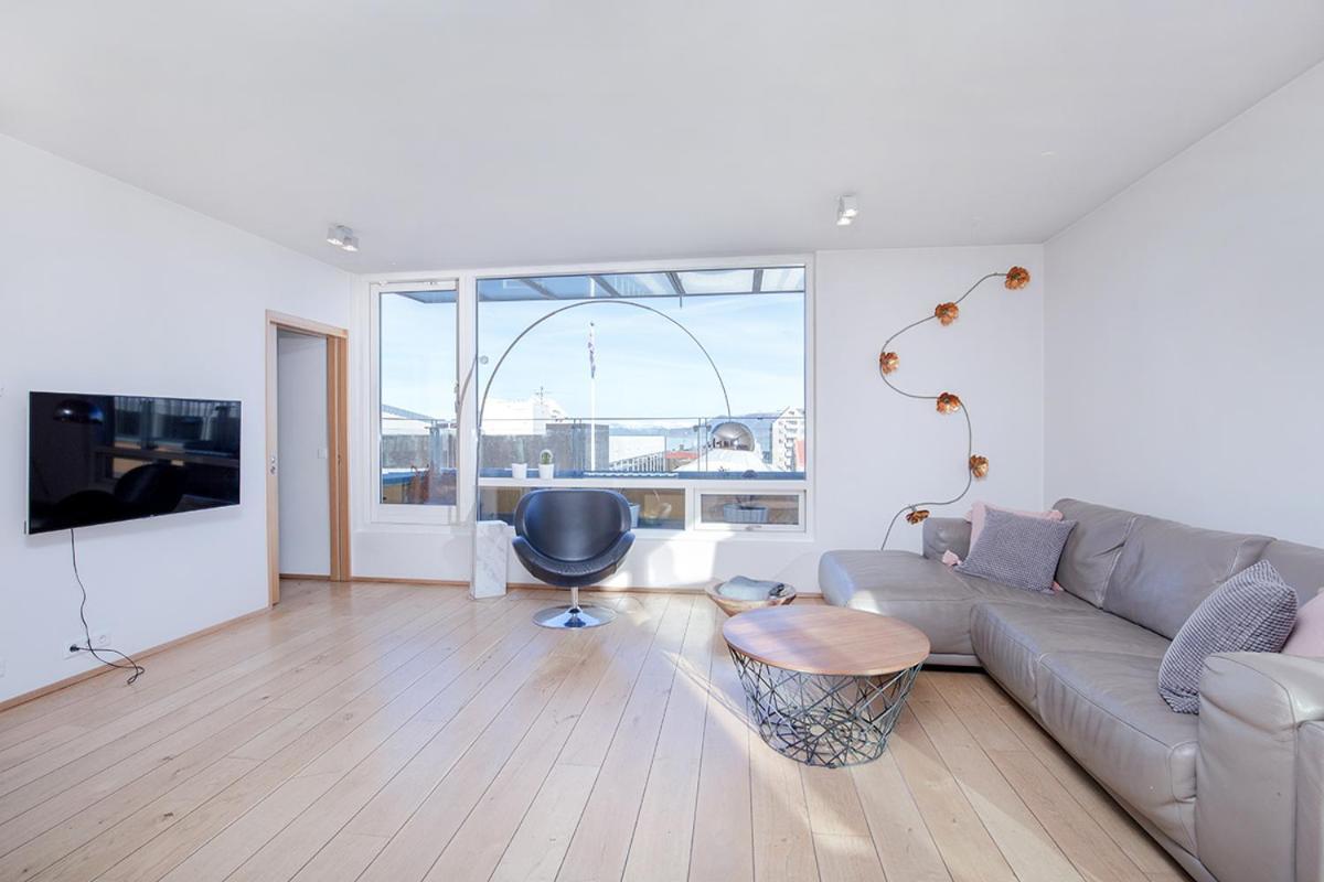 Penthouse Apartment With Panasonic Mountain View 雷克雅維克 外观 照片