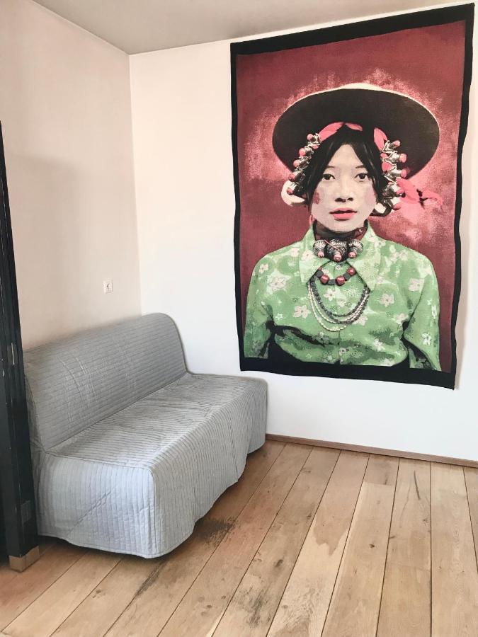 Penthouse Apartment With Panasonic Mountain View 雷克雅維克 外观 照片